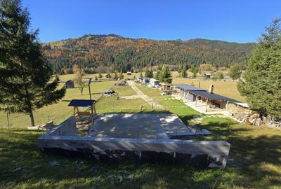 Spațiu comercial, în Borca - 4