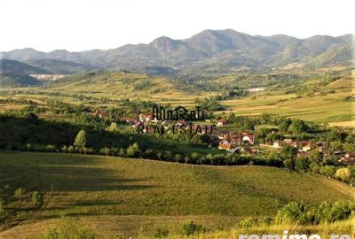 Teren de 18000 mp, în Bârsău - 4