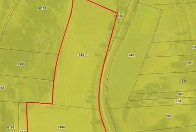 Teren de 30000 mp, în Saschiz - 3