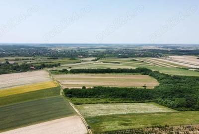 Teren de 15740 mp, în Central - 1