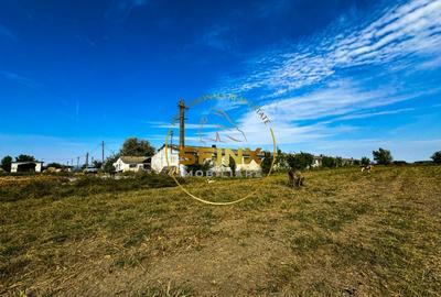 Teren intravilan cu potential de investitie 62000mp - 1