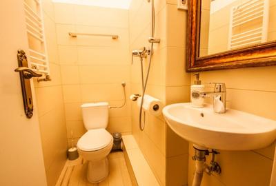 Apartament tip vila 295 mp utili, regim S+P+M, ideal birouri, clinica, avocatura - 9