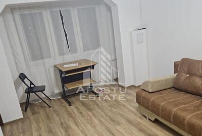 Apartament cu o camera, AC, zona Lunei - 6
