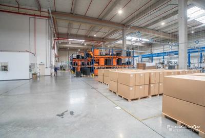 Spațiu industrial, de 3,610 mp, în Aeroport - 4