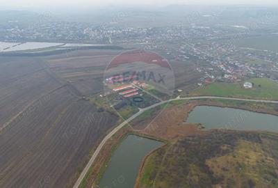 Teren de 43708 mp, în Scobâlțeni - 3