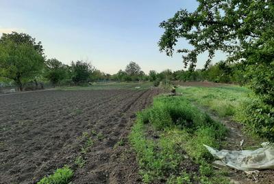 Teren de 4000 mp, în Măgureni - 2