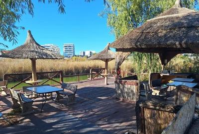 Apartament cu 2 camere decomandat, mobilat în Nord - 2