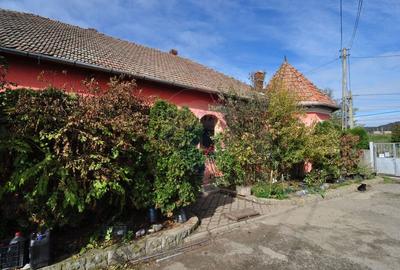 Casa cu teren si anexe, curte generoasa, potential urias - 2