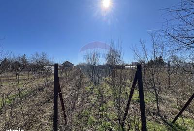 Casă cu 2 camere în Lipia - 1