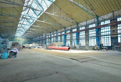 Hala cu pod rulant | Industriilor - 7