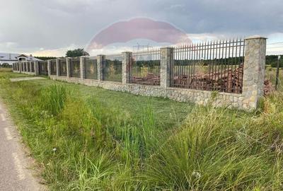 Teren Construcții intravilan de 4000 mp, în Nord-Vest - 1