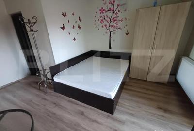 Garsonieră în Lotrului - 3
