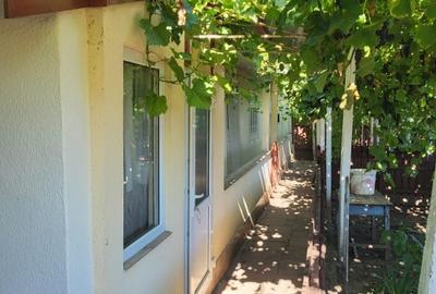 Casă individuală cu 3 camere cu Teren 1800 Mp în Bivolari - 4