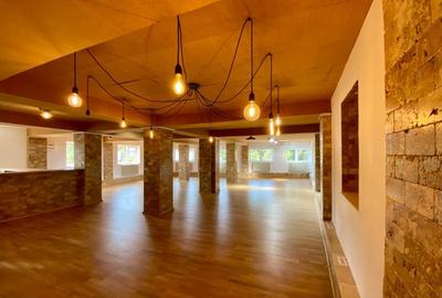 Spatiu comercial, stradal, de inchiriat - 5