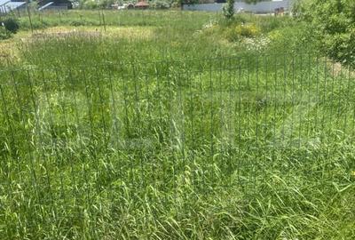 Teren de 1000 mp, în Central - 2