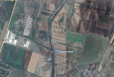 Teren Extravilan Banca, ID: R2805492 - 14