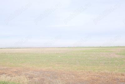 Teren de 270000 mp, în Gherghița - 2