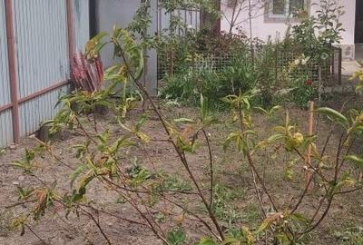 Casă cu 3 camere în Boldești - 3