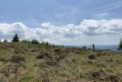 Teren de 4830 mp, în Măguri - 3