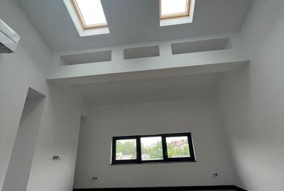 Apartament cu 8 camere semidecomandat în Parcul Carol - 13