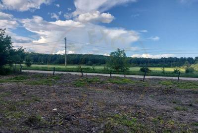 Teren intravilan 1843 mp - Cerbu/Albota/Arges - cu proiect d - 7