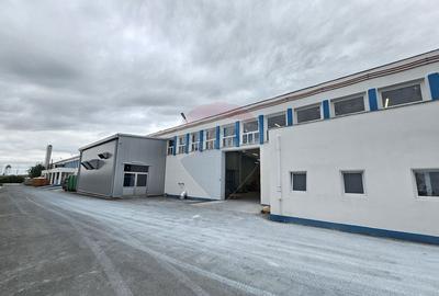 Spa?iu industrial de vanzare - 11