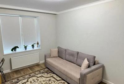 Ofer spre inchiriere apartament cu 2 camere in zona pantelimon - 5