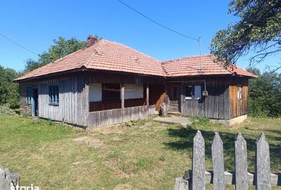 Teren de 10378 mp, în Brebu - 1