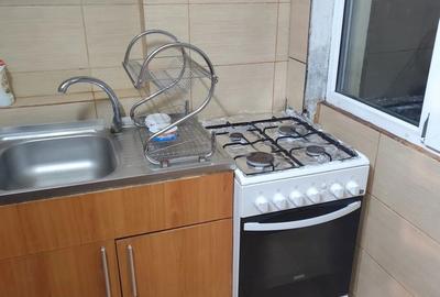 Apartament cu 2 camere decomandat, mobilat în Calea Severinului - 4