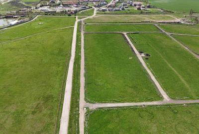 Parcele de teren Sacalaz - 7