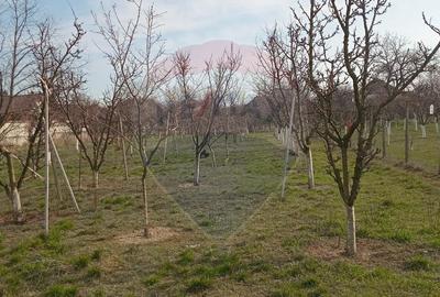 Teren Construcții intravilan de 2954 mp, în Vladimirescu - 5