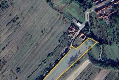 Teren de 9000 mp, în Sârbești - 1