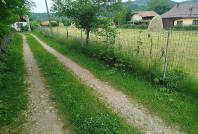 Teren de 3136 mp, în Podu Cheii - 2