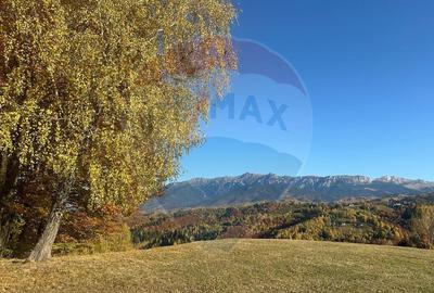 Oportunitate de investitie ! Teren de vis in Pestera - ... - 10