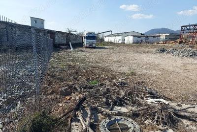 Teren de 1800 mp, în Cătălina - 2