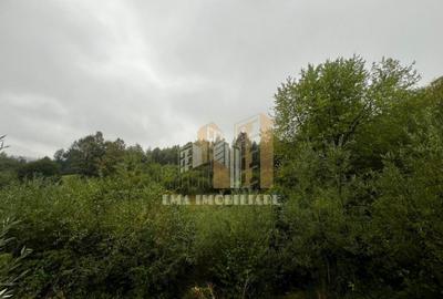 Teren intravilan Sinca Noua - 6