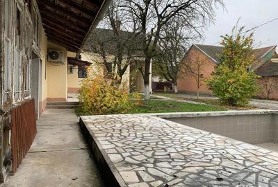 Vand casa Faget Vand casa Faget - 7