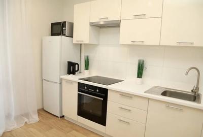 Garsoniera de inchiriat zona Mosilor - 6