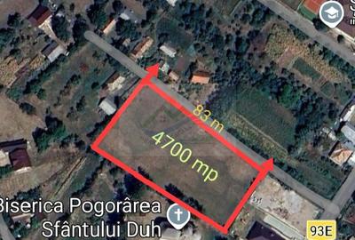 Teren de 4700 mp, în Brusturi - 6
