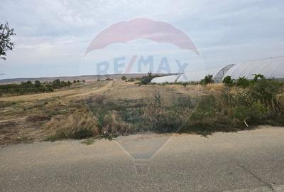 Teren intravilan 5000 mp Isalnita - 2