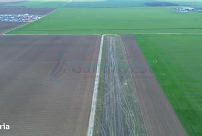 Spațiu comercial, în Sântandrei - 3