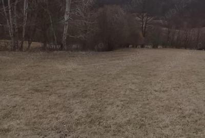 Casă cu 2 camere în Central - 8