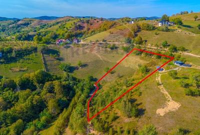 Teren agricol extravilan de 6014 mp, în Holbav - 4