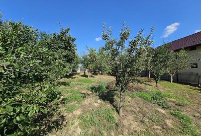 Vila superba de vanzare in Vintila Voda, Buzau D+P+1 si anexe - 48