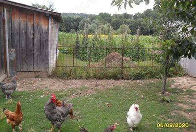 Casa cu teren in Razboienii de Jos, Neamt - 5