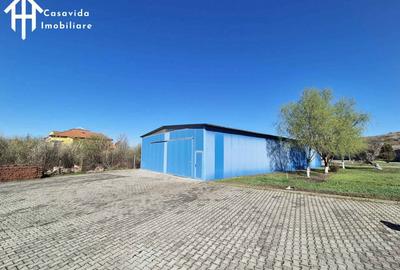 Casă în Lugoj - 1