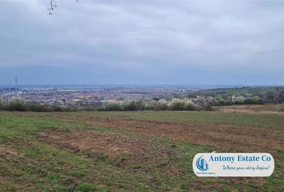 Teren de 3774 mp, în Oncea - 8