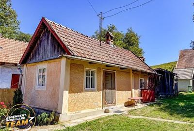 FILM! Doua case+anexe,rezidential/ comercial/de vacanta,Zagon,Covasna - 23
