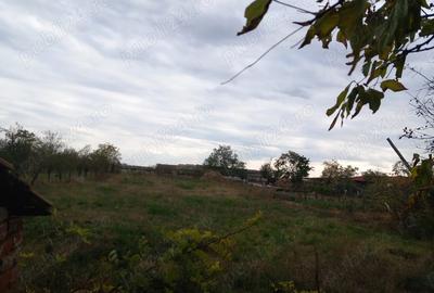 Vand casa sat Ivanda comuna Giulvaz Proprietar - 5