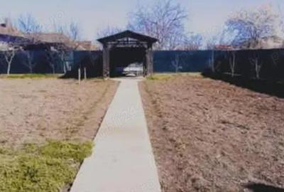 Vand casa Pecica - 3